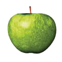 Apple Corps